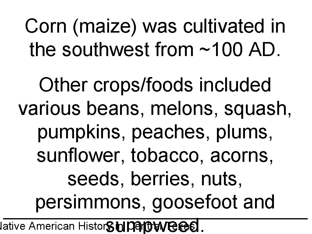 Corn (maize) was cultivated in the southwest from ~100 AD. Other crops/foods included various