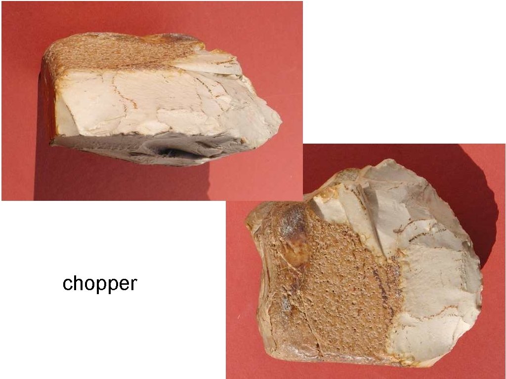 chopper 
