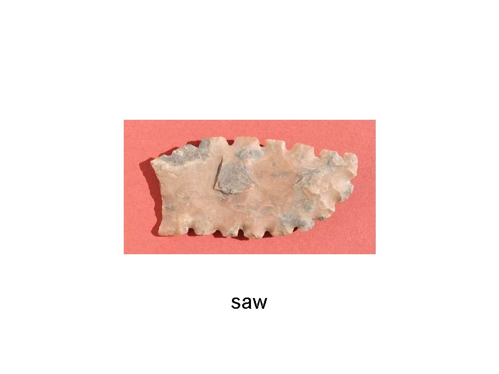 saw 