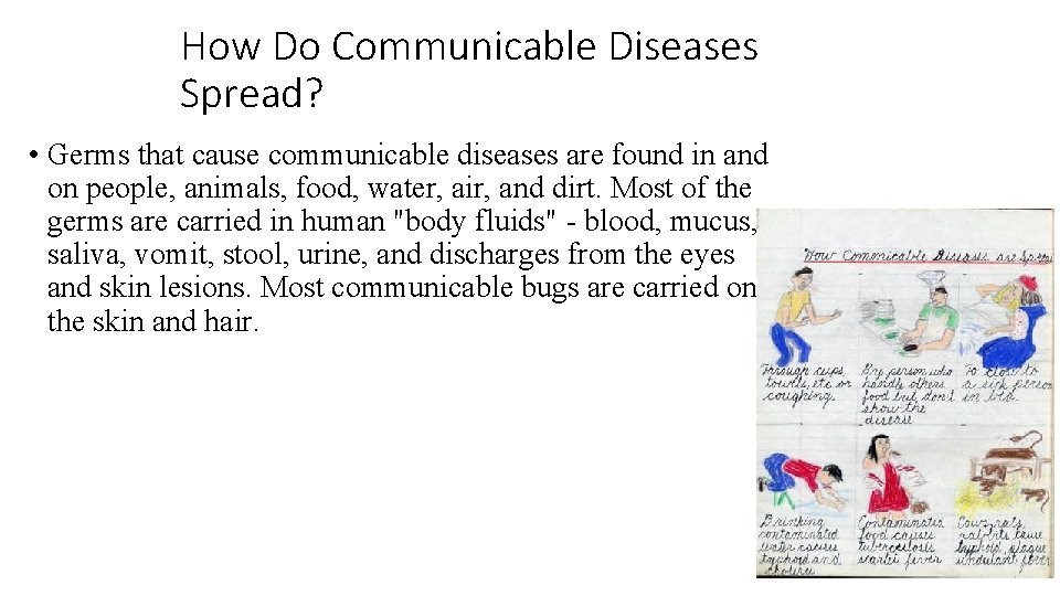 How Do Communicable Diseases Spread? • Germs that cause communicable diseases are found in