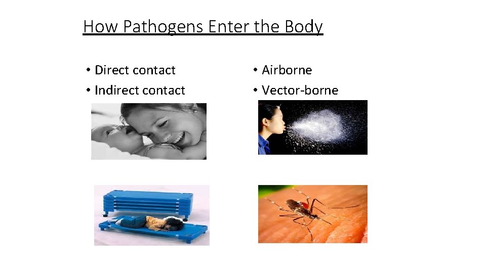 How Pathogens Enter the Body • Direct contact • Indirect contact • Airborne •