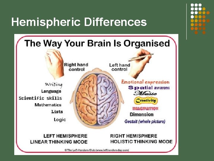 Hemispheric Differences 