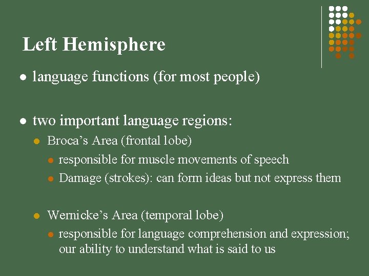 Left Hemisphere l language functions (for most people) l two important language regions: l