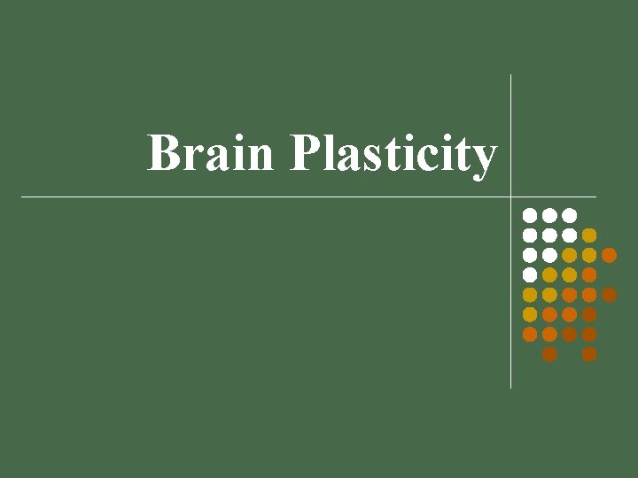 Brain Plasticity 