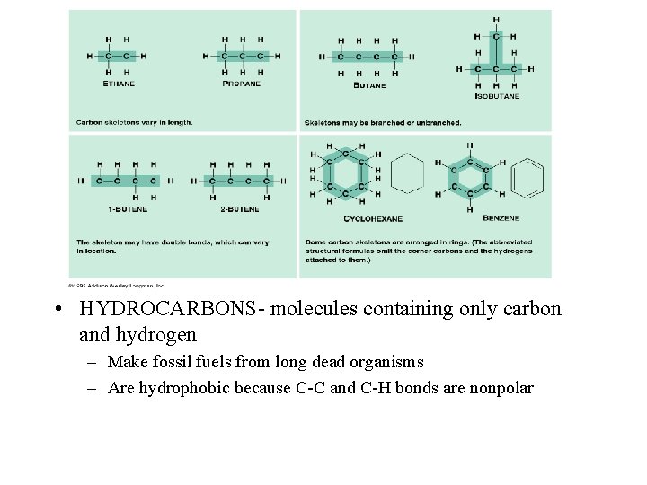  • HYDROCARBONS- molecules containing only carbon and hydrogen – Make fossil fuels from