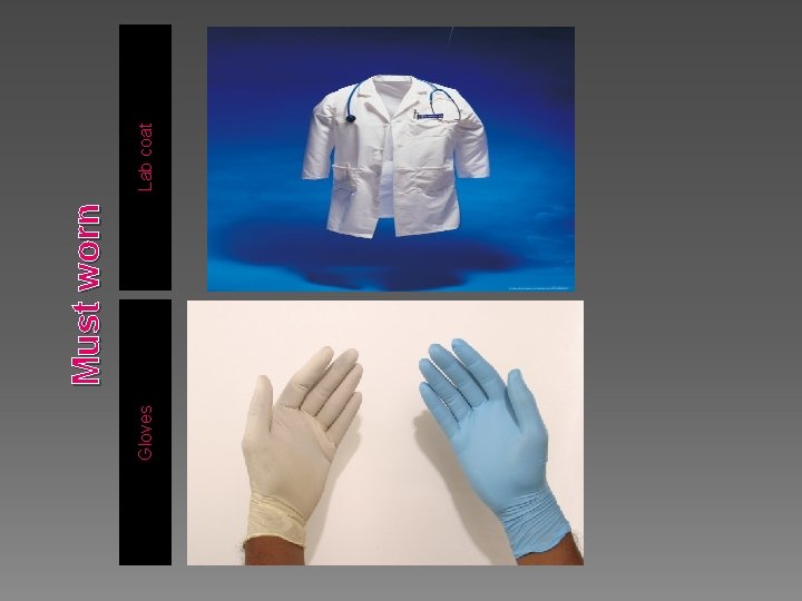Gloves Must worn Lab coat 