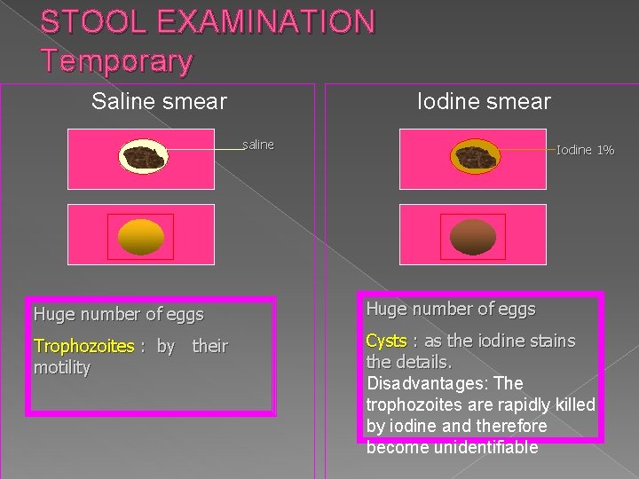 STOOL EXAMINATION Temporary Saline smear Iodine smear saline Iodine 1% Huge number of eggs