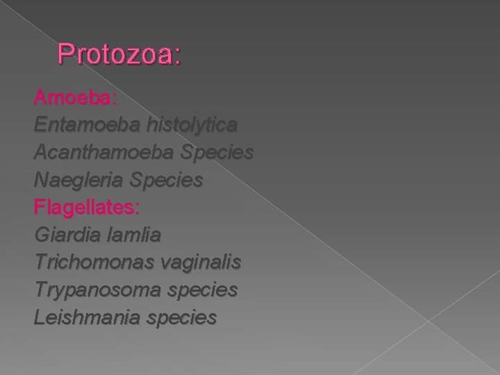Protozoa: Amoeba: Entamoeba histolytica Acanthamoeba Species Naegleria Species Flagellates: Giardia lamlia Trichomonas vaginalis Trypanosoma
