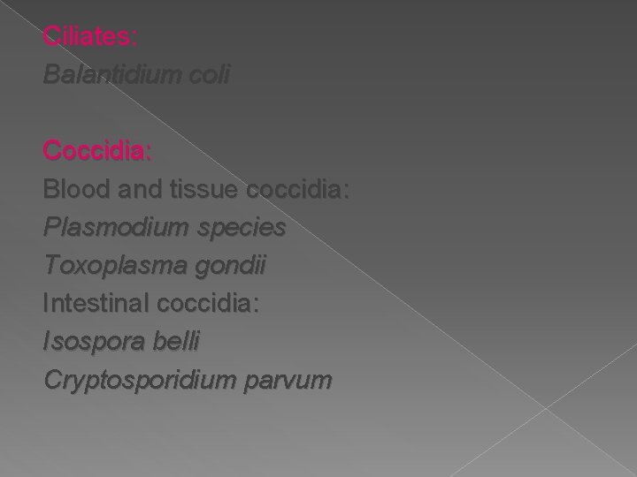 Ciliates: Balantidium coli Coccidia: Blood and tissue coccidia: Plasmodium species Toxoplasma gondii Intestinal coccidia: