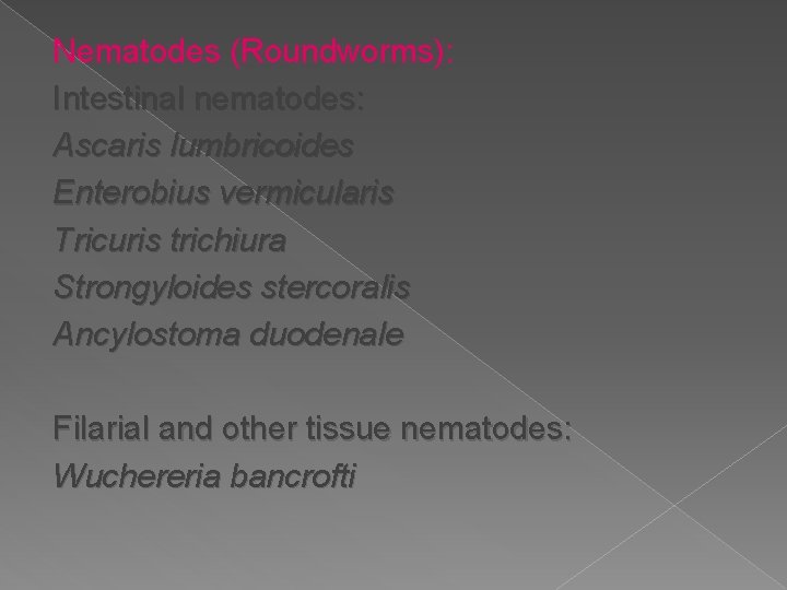 Nematodes (Roundworms): Intestinal nematodes: Ascaris lumbricoides Enterobius vermicularis Tricuris trichiura Strongyloides stercoralis Ancylostoma duodenale