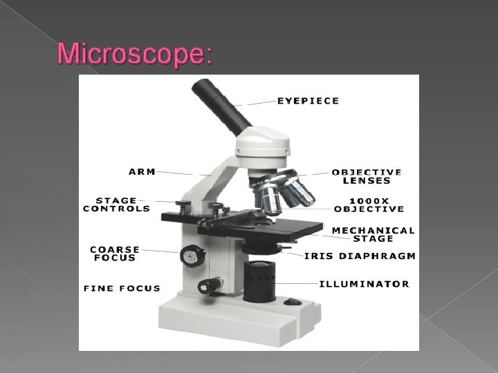 Microscope: 