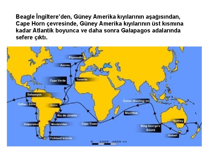 Beagle İngiltere’den, Güney Amerika kıyılarının aşağısından, Cape Horn çevresinde, Güney Amerika kıyılarının üst kısmına