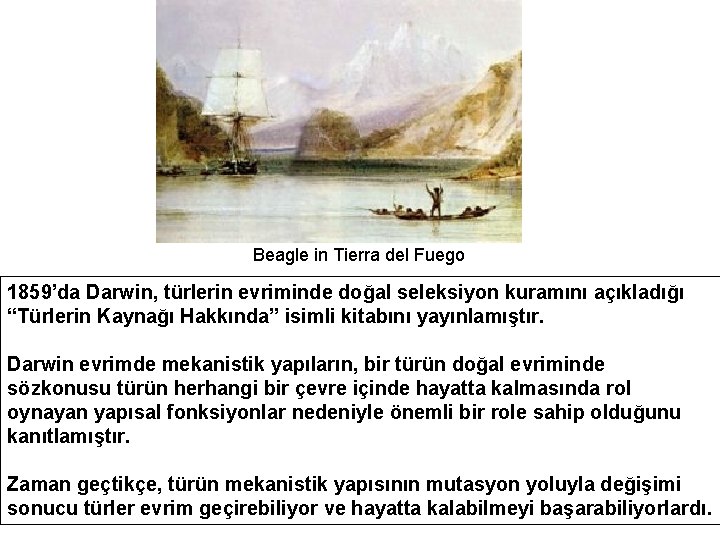 Beagle in Tierra del Fuego 1859’da Darwin, türlerin evriminde doğal seleksiyon kuramını açıkladığı “Türlerin