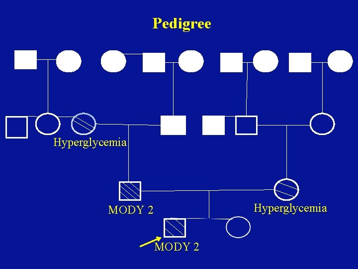 Pedigree Hyperglycemia MODY 2 