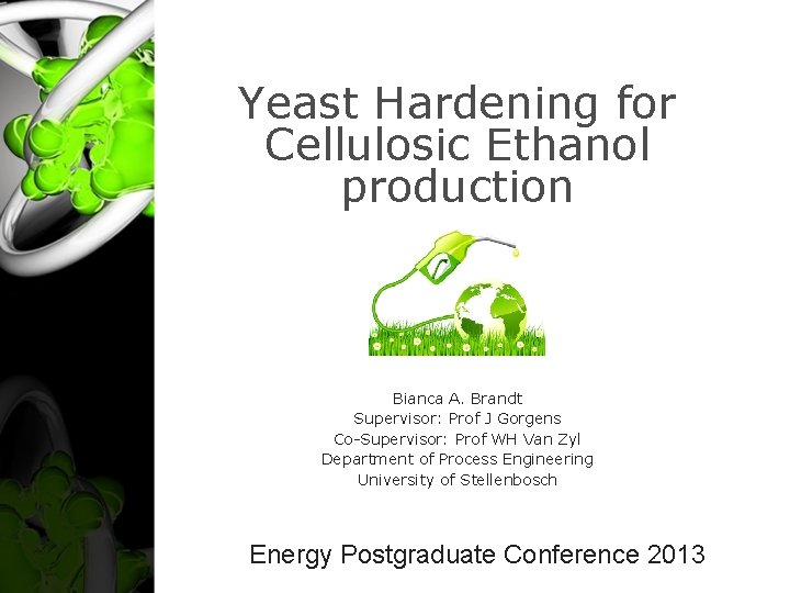 Yeast Hardening for Cellulosic Ethanol production Bianca A. Brandt Supervisor: Prof J Gorgens Co-Supervisor: