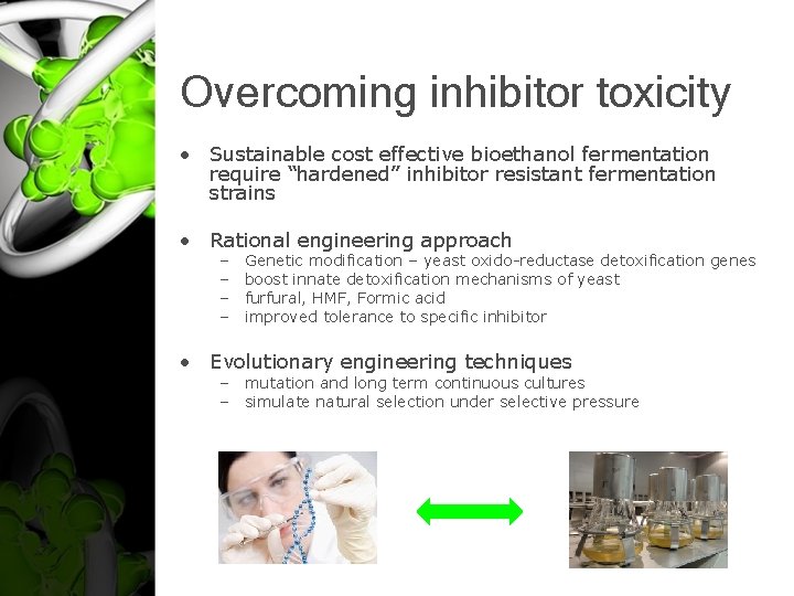 Overcoming inhibitor toxicity • Sustainable cost effective bioethanol fermentation require “hardened” inhibitor resistant fermentation