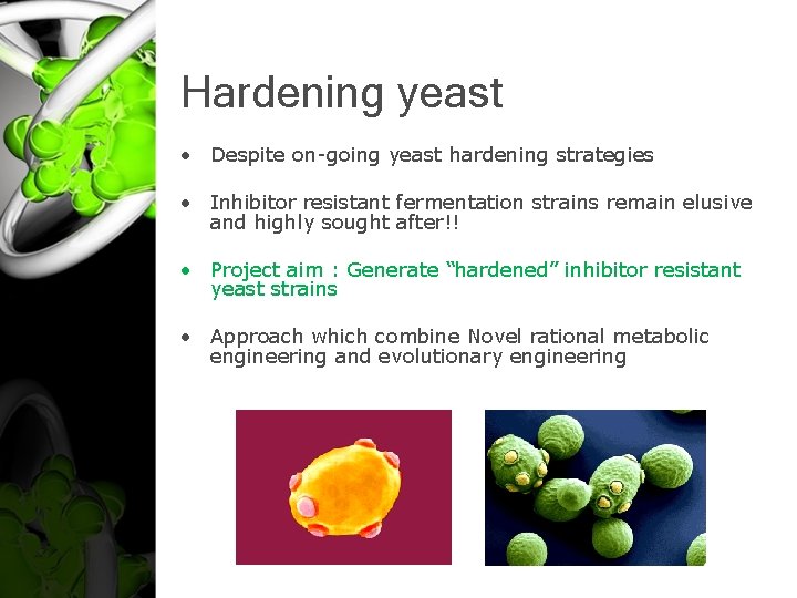 Hardening yeast • Despite on-going yeast hardening strategies • Inhibitor resistant fermentation strains remain