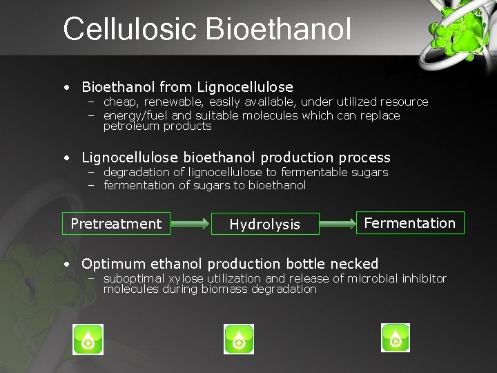 Cellulosic Bioethanol • Bioethanol from Lignocellulose – cheap, renewable, easily available, under utilized resource