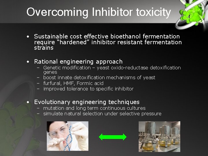 Overcoming Inhibitor toxicity • Sustainable cost effective bioethanol fermentation require “hardened” inhibitor resistant fermentation