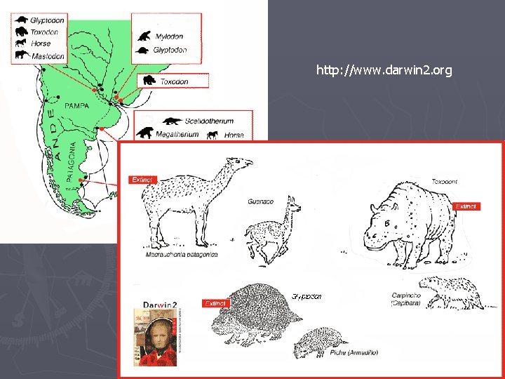 http: //www. darwin 2. org http: //www. darwin 2. org