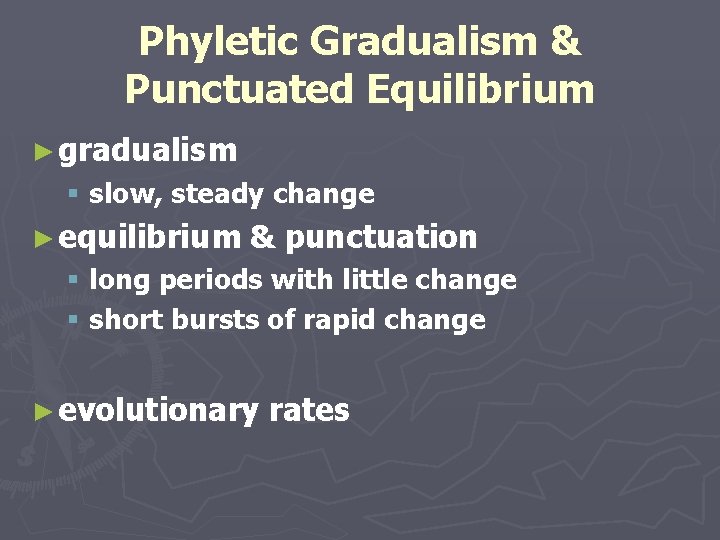 Phyletic Gradualism & Punctuated Equilibrium ► gradualism § slow, steady change ► equilibrium & Phyletic Gradualism & Punctuated Equilibrium ► gradualism § slow, steady change ► equilibrium &