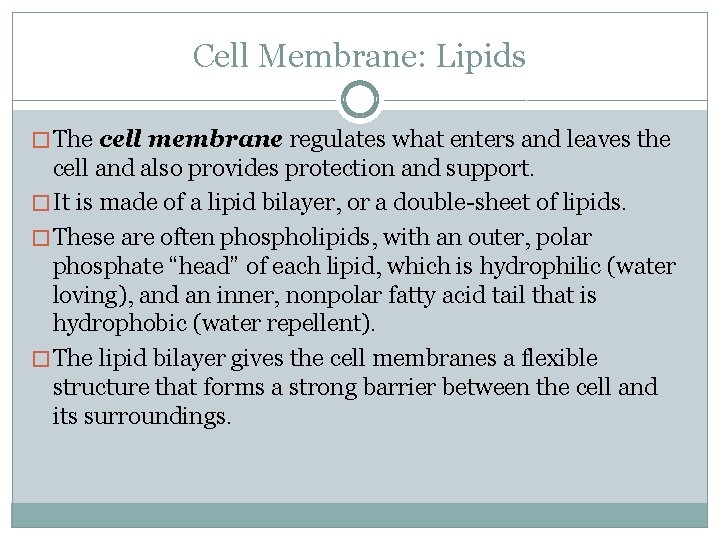 Cell Membrane: Lipids � The cell membrane regulates what enters and leaves the cell