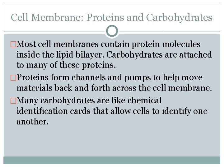 Cell Membrane: Proteins and Carbohydrates �Most cell membranes contain protein molecules inside the lipid