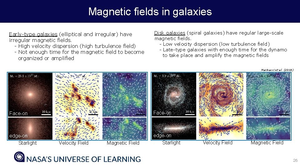 Magnetic fields in galaxies Early-type galaxies (elliptical and irregular) have irregular magnetic fields. -