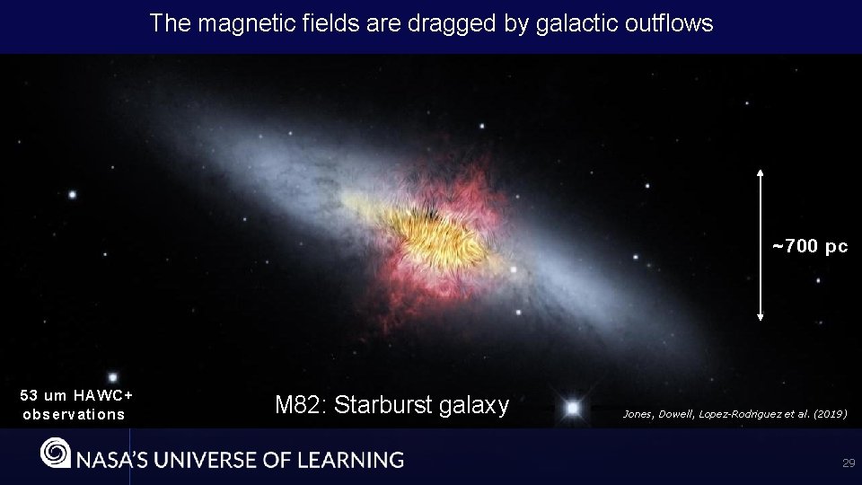 The magnetic fields are dragged by galactic outflows ~700 pc 53 um HAWC+ observations