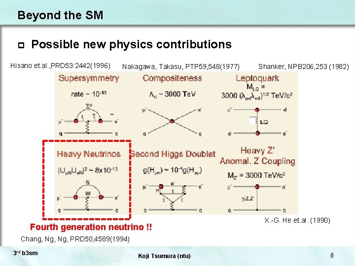 Beyond the SM p Possible new physics contributions Hisano et. al. , PRD 53: