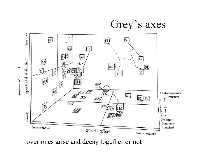 Grey’s axes overtones arise and decay together or not 