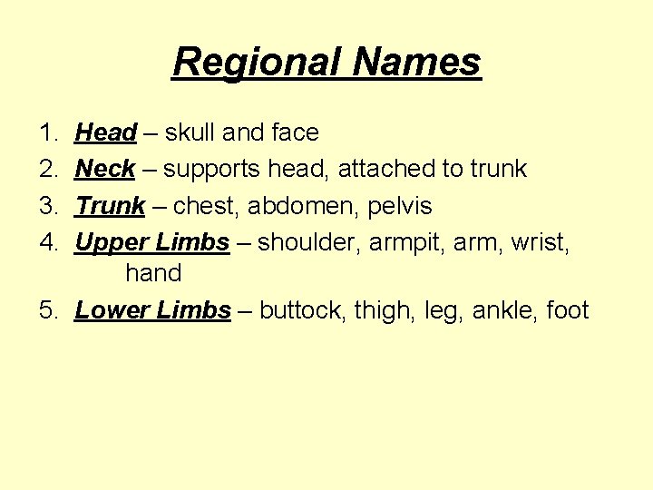 Regional Names 1. 2. 3. 4. Head – skull and face Neck – supports