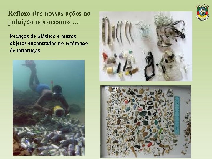 Reflexo das nossas ações na poluição nos oceanos … Pedaços de plástico e outros