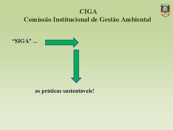 CIGA Comissão Institucional de Gestão Ambiental “SIGA”. . . as práticas sustentáveis! 