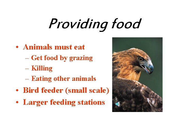 Providing food • Animals must eat – Get food by grazing – Killing –