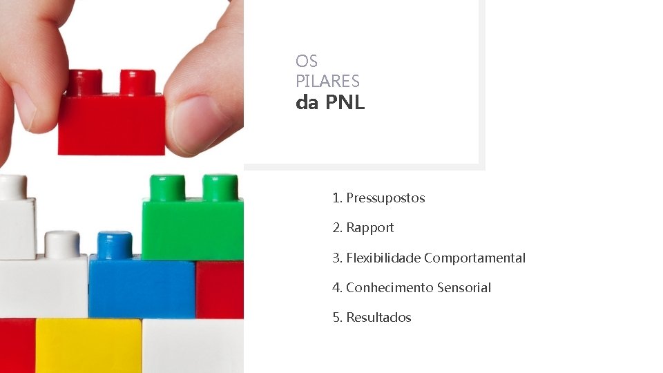 OS PILARES da PNL 1. Pressupostos 2. Rapport 3. Flexibilidade Comportamental 4. Conhecimento Sensorial