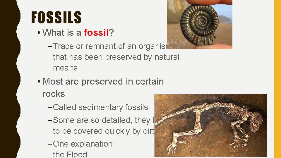 FOSSILS • What is a fossil? – Trace or remnant of an organism that