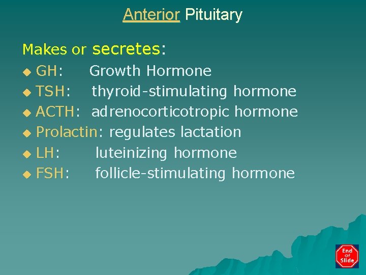 Anterior Pituitary Makes or secretes: u GH: Growth Hormone u TSH: thyroid-stimulating hormone u