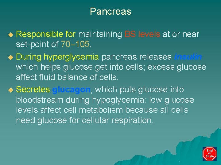 Pancreas Responsible for maintaining BS levels at or near set-point of 70– 105. u