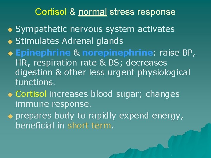 Cortisol & normal stress response Sympathetic nervous system activates u Stimulates Adrenal glands u