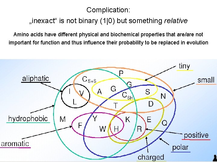 Complication: „inexact“ is not binary (1|0) but something relative Amino acids have different physical