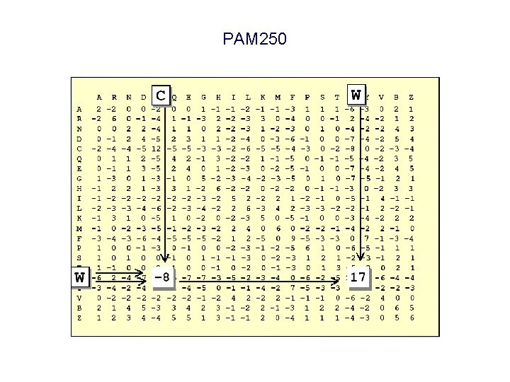 PAM 250 