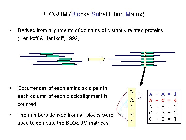 BLOSUM (Blocks Substitution Matrix) • Derived from alignments of domains of distantly related proteins