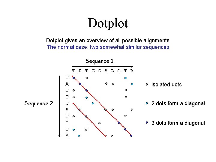 Dotplot gives an overview of all possible alignments The normal case: two somewhat similar