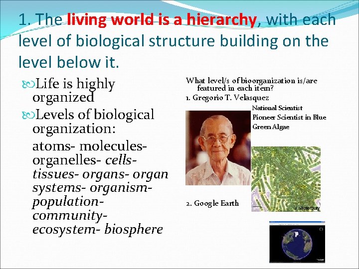 1. The living world is a hierarchy, with each level of biological structure building