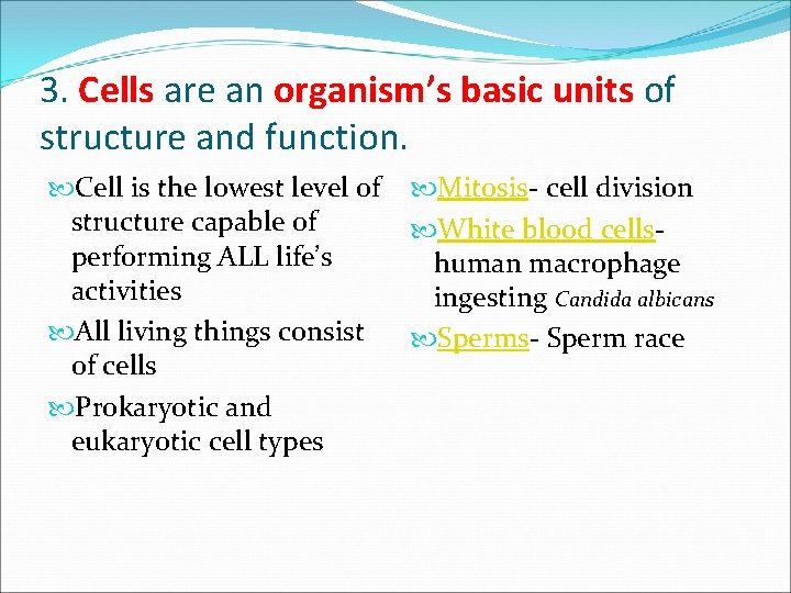 3. Cells are an organism’s basic units of structure and function. Cell is the