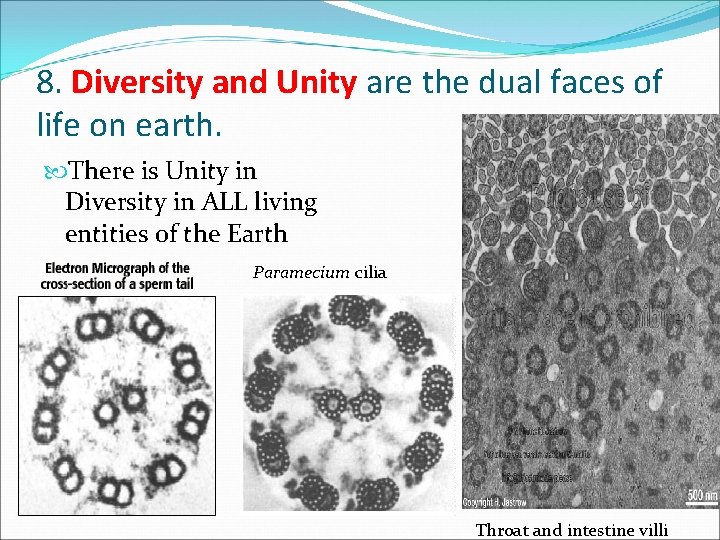 8. Diversity and Unity are the dual faces of life on earth. There is