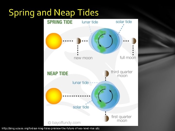 Spring and Neap Tides http: //blog. ucsusa. org/todays-king-tides-preview-the-future-of-sea-level-rise-162 