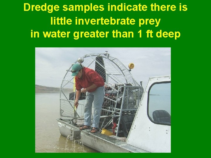 Dredge samples indicate there is little invertebrate prey in water greater than 1 ft