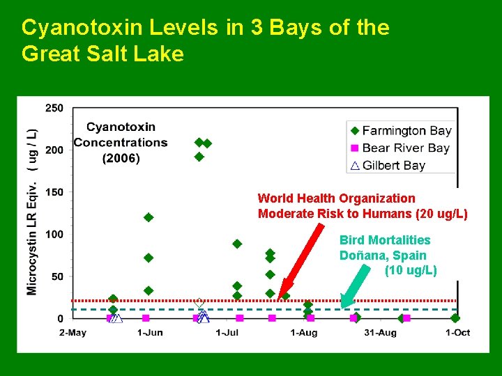 Cyanotoxin Levels in 3 Bays of the Great Salt Lake World Health Organization Moderate
